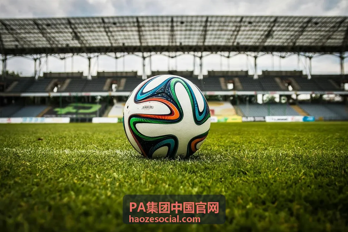 PA集团战略架构设计抽象图